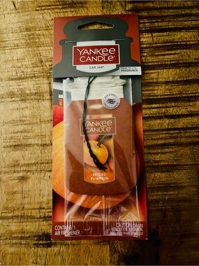 Yankee Candle Car Jar Air Freshener SPiCED PUMPKiN